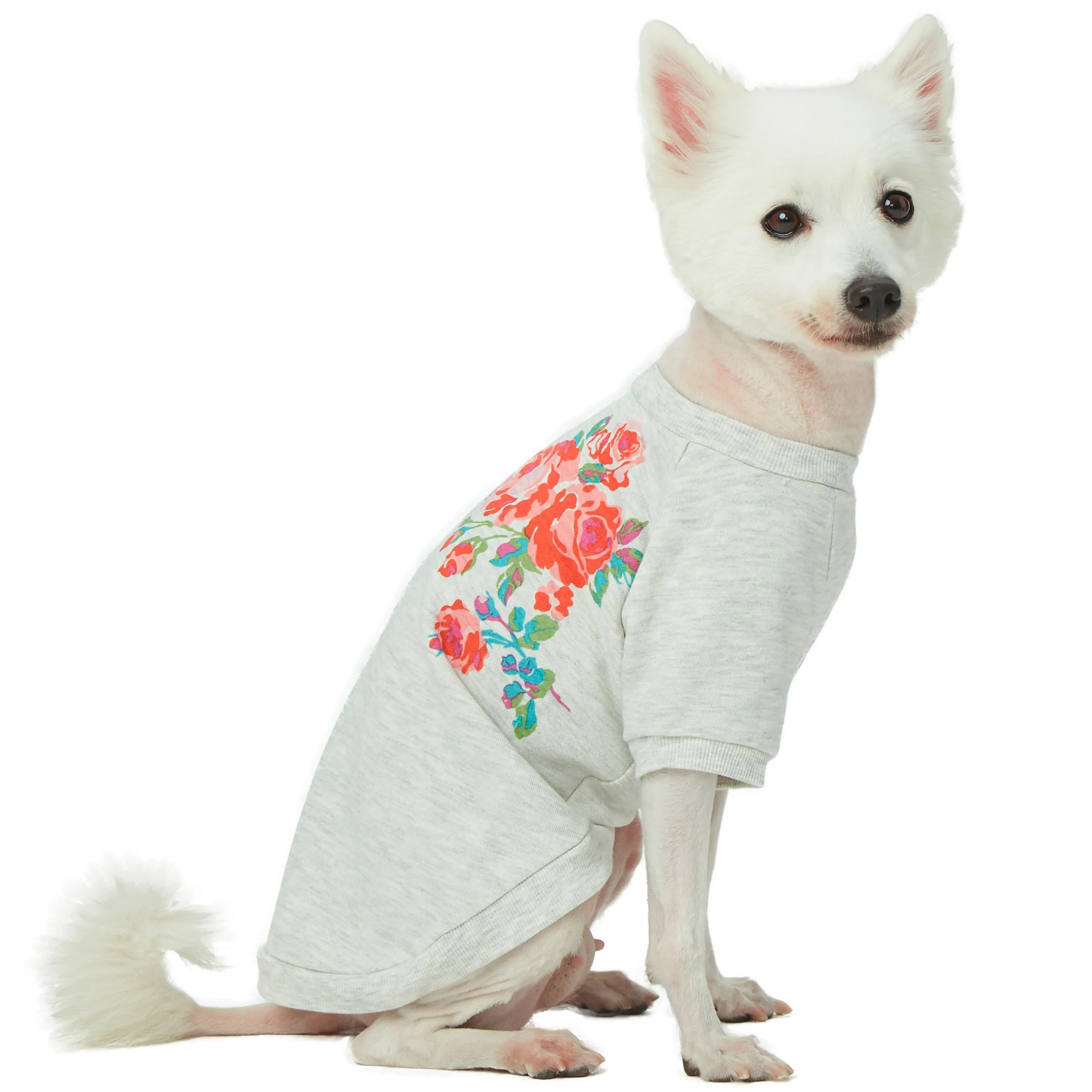 Blooming Rose French Cotton Dog Sweatshirt