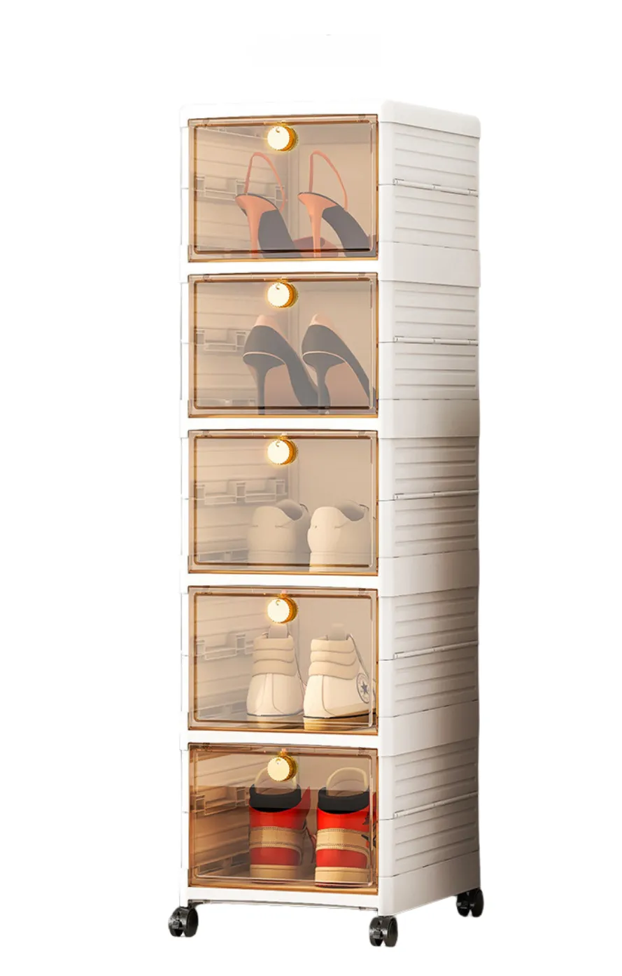 Multi-Layer Fashion Organizer